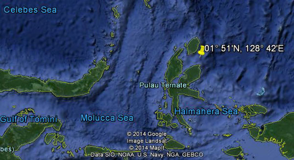 Approximate location of USS Capelin (rough estimate)